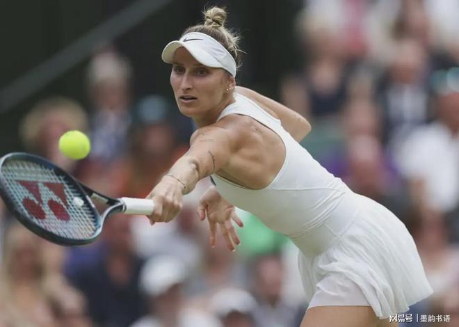 这一名称不 这一名称不