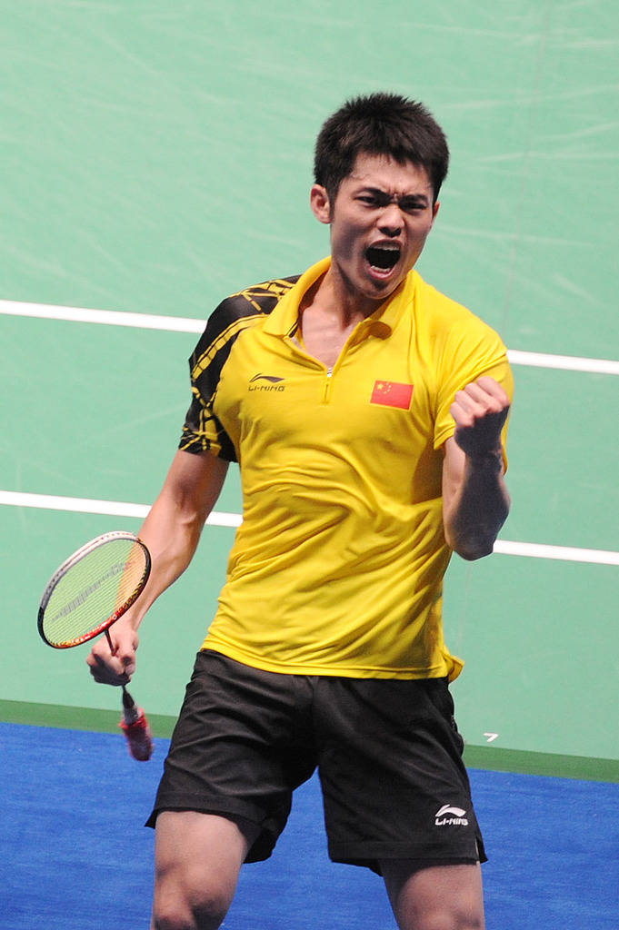 提供了一个 提供了一个