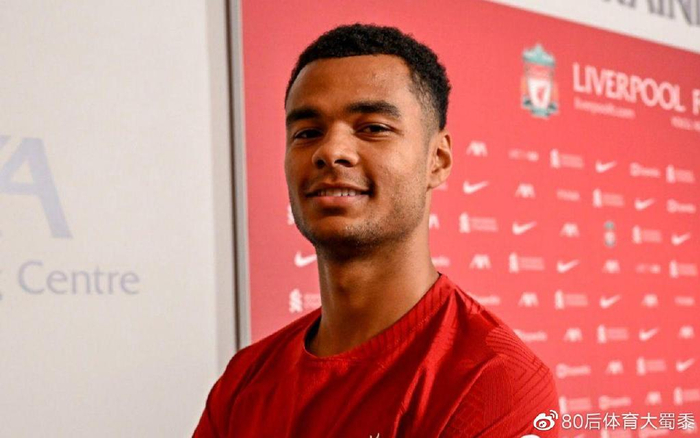 在这篇文章 在这篇文章