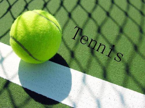 能引发联盟 能引发联盟